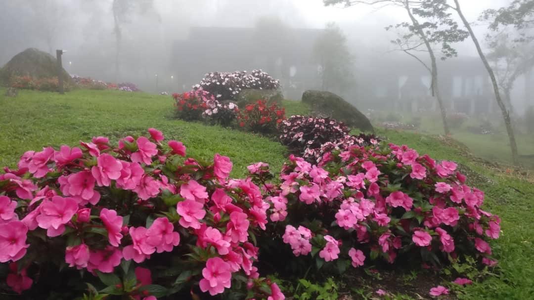 Spring Garden *